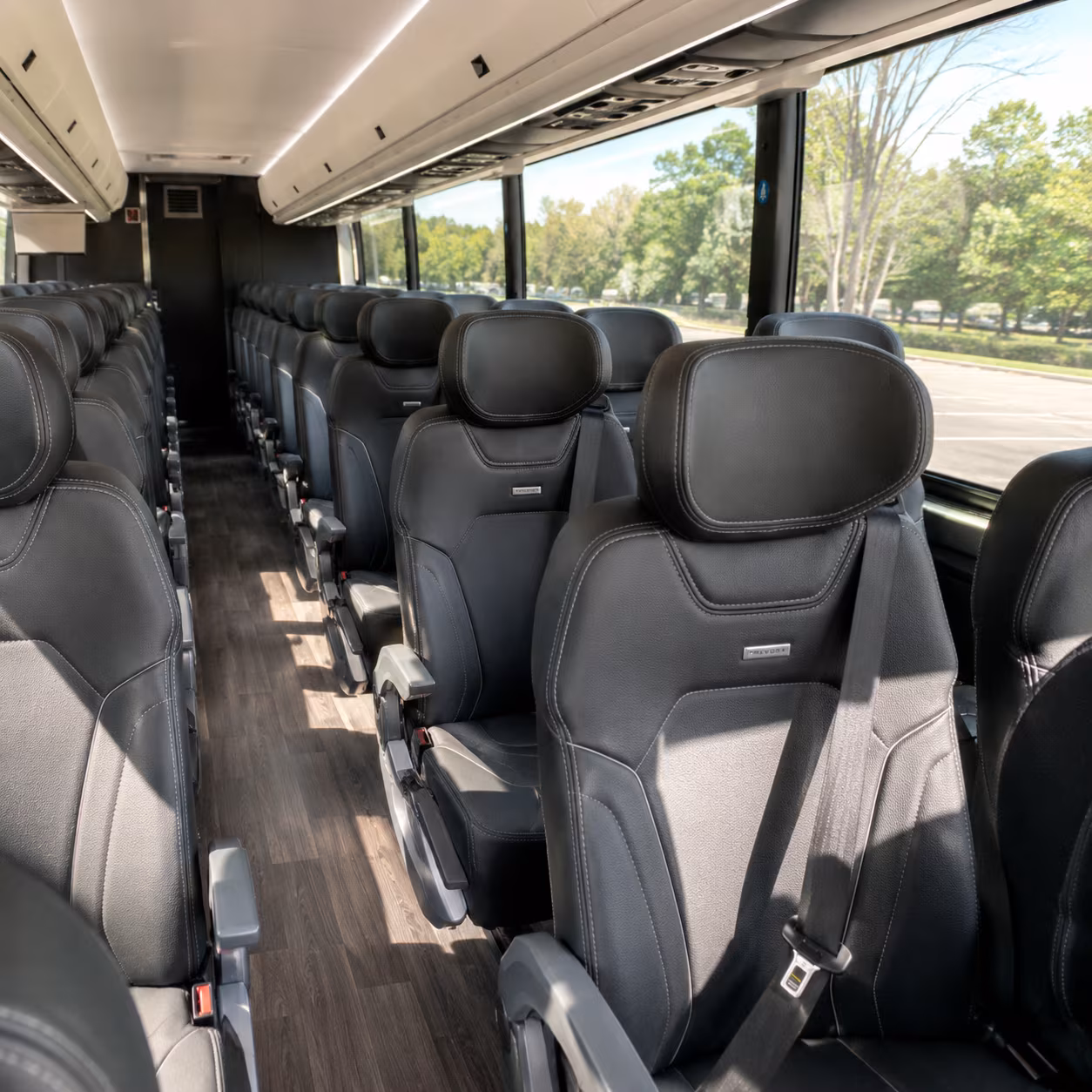 indio wine tour brewery transportation onboard seating